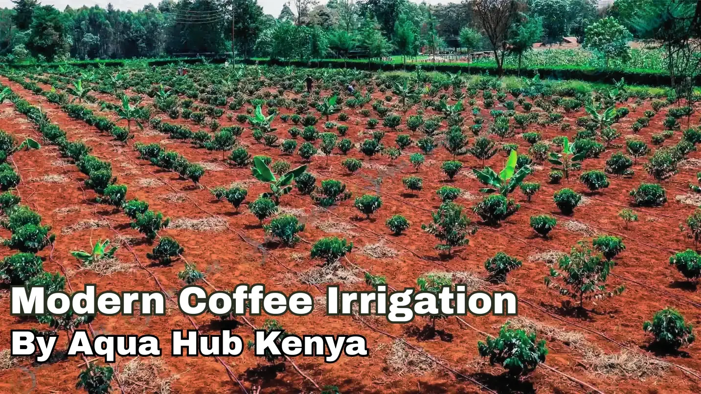 Modern coffee irrigation