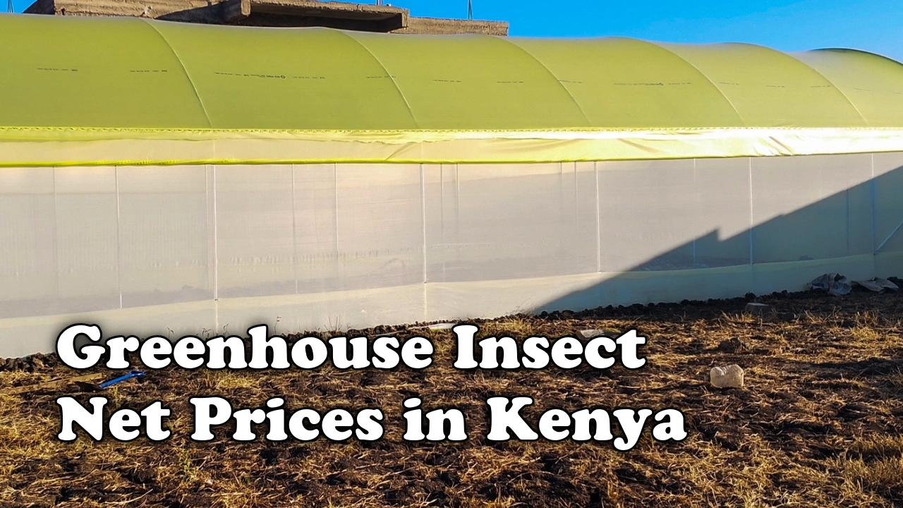 Greenhouse Insect Net Prices in Kenya
