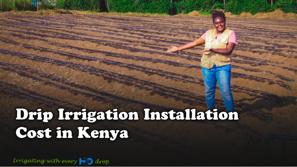 Drip Irrigation Installation Cost in Kenya