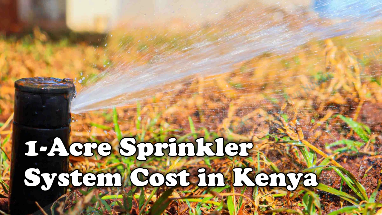 1 Acre Sprinkler System Cost in Kenya