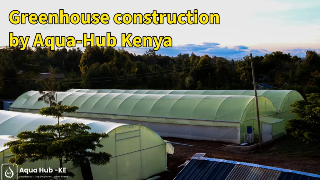 Greenhouse construction by Aqua-Hub Kenya