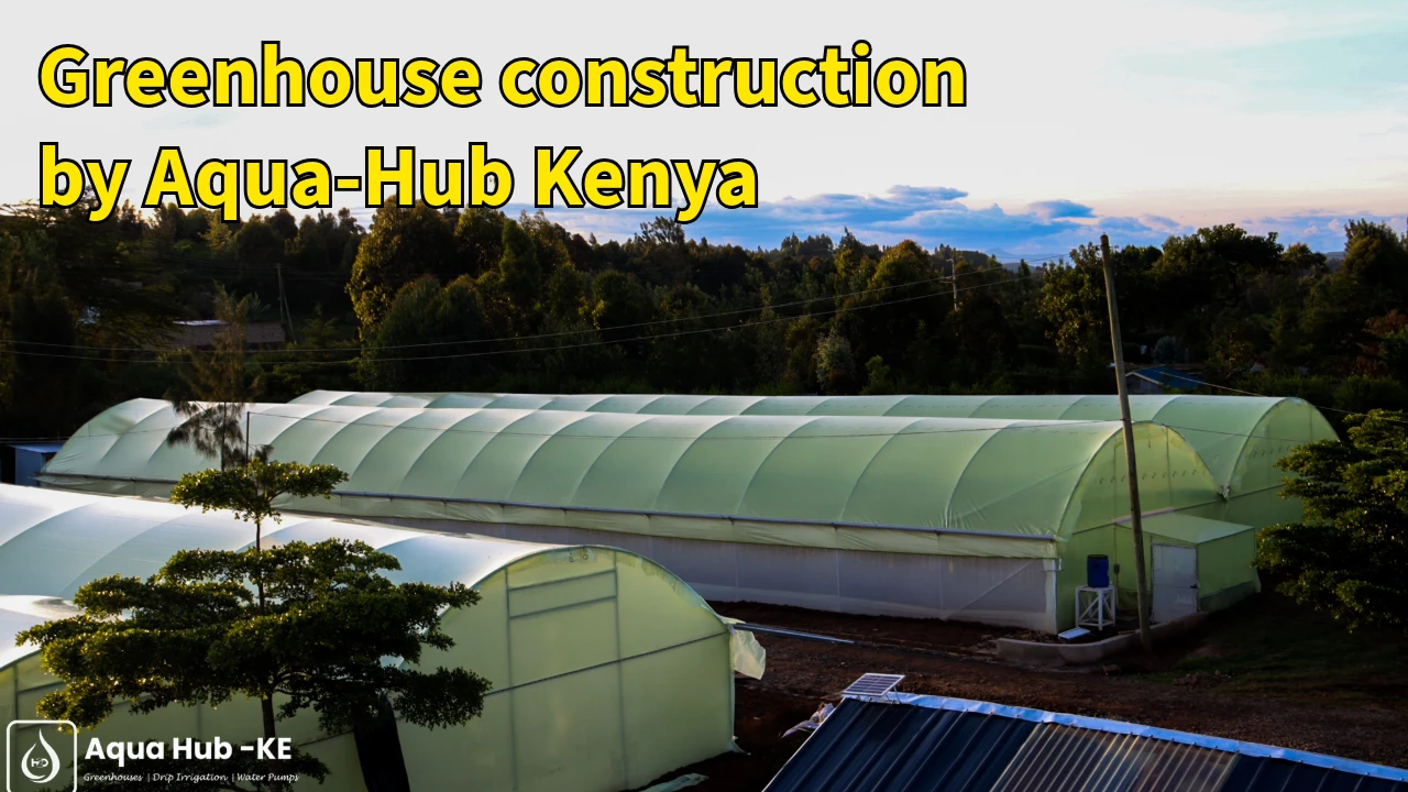 Greenhouse construction by Aqua-Hub Kenya