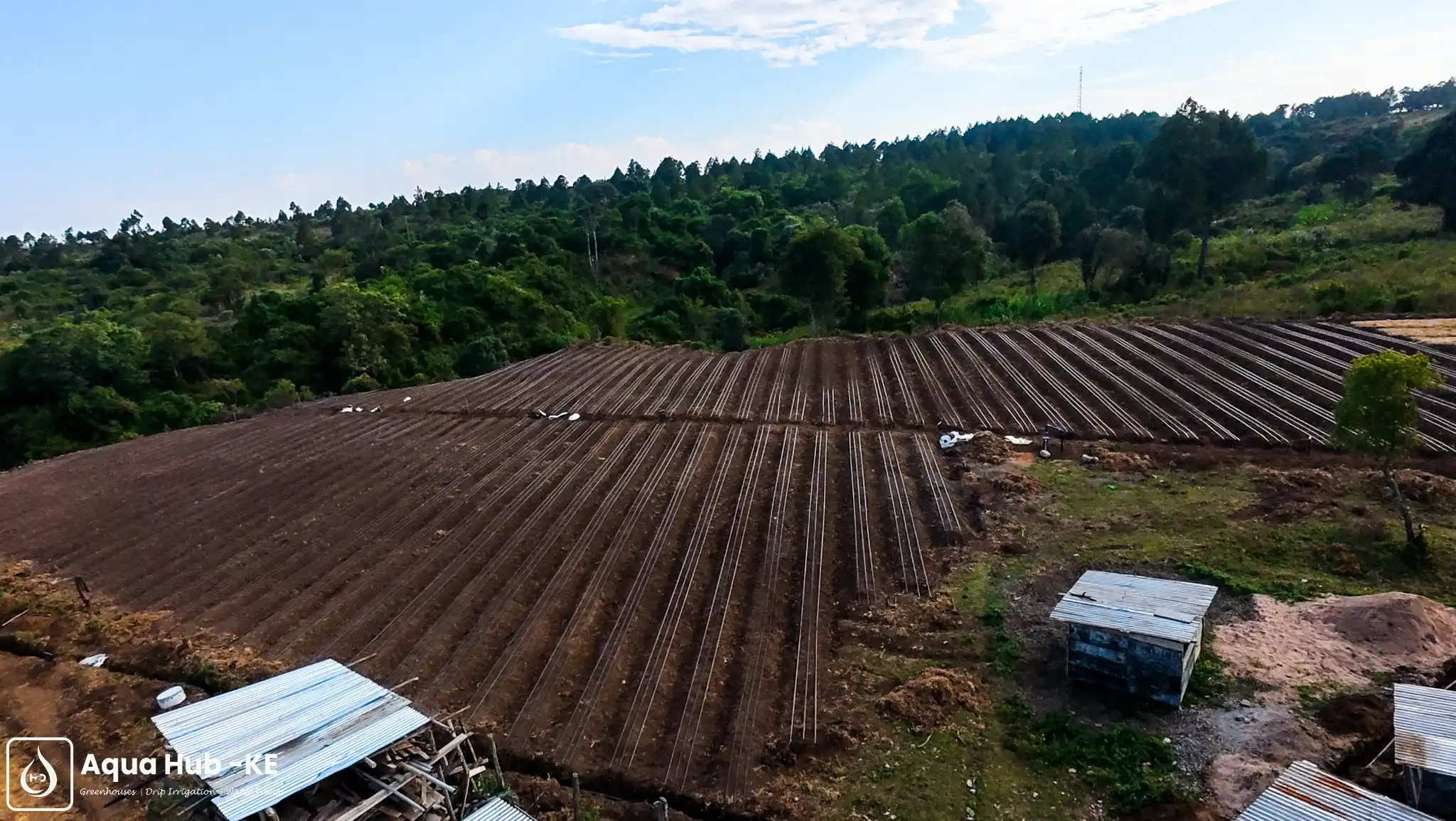 Overview of assorted vegetables drip irrigation by Aqua Hub Kenya