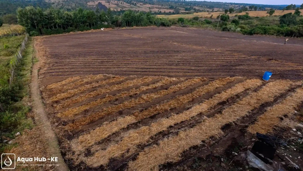 Complete drip irrigation installation for assorted vegetable farming in Narok