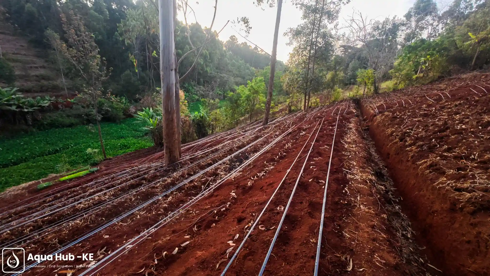 High quality drip line supplier in Kenya