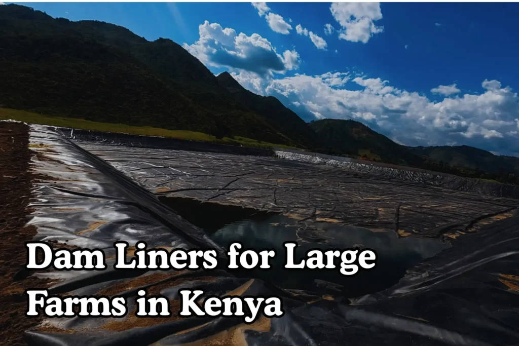 Dam Liners for Large Farms in Kenya