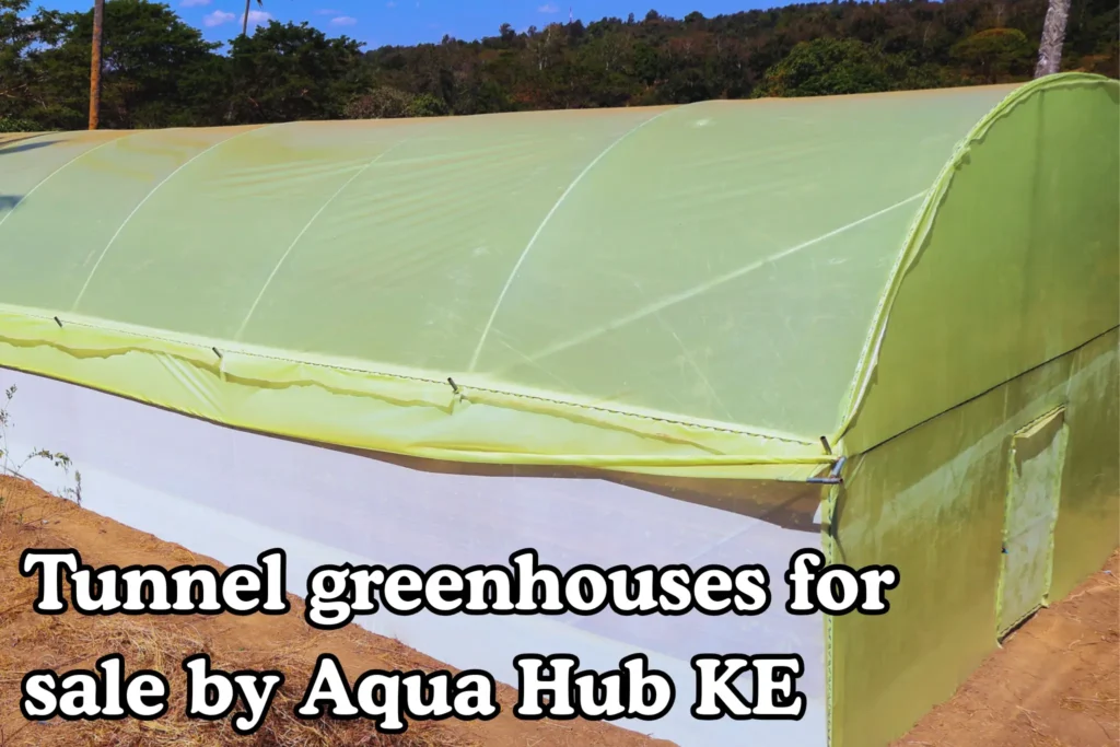 Tunnel greenhouses for sale by Aqua Hub Kenya