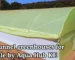 Tunnel greenhouses for sale by Aqua Hub Kenya