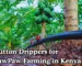 Button drippers for pawpaw farming in Kenya