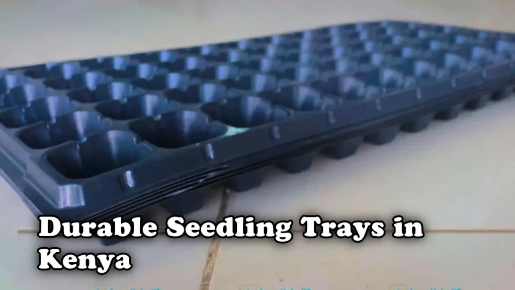 Durable Seedling Trays in Kenya