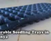 Durable Seedling Trays in Kenya