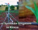 Drip vs Sprinkler Irrigation in Kenya