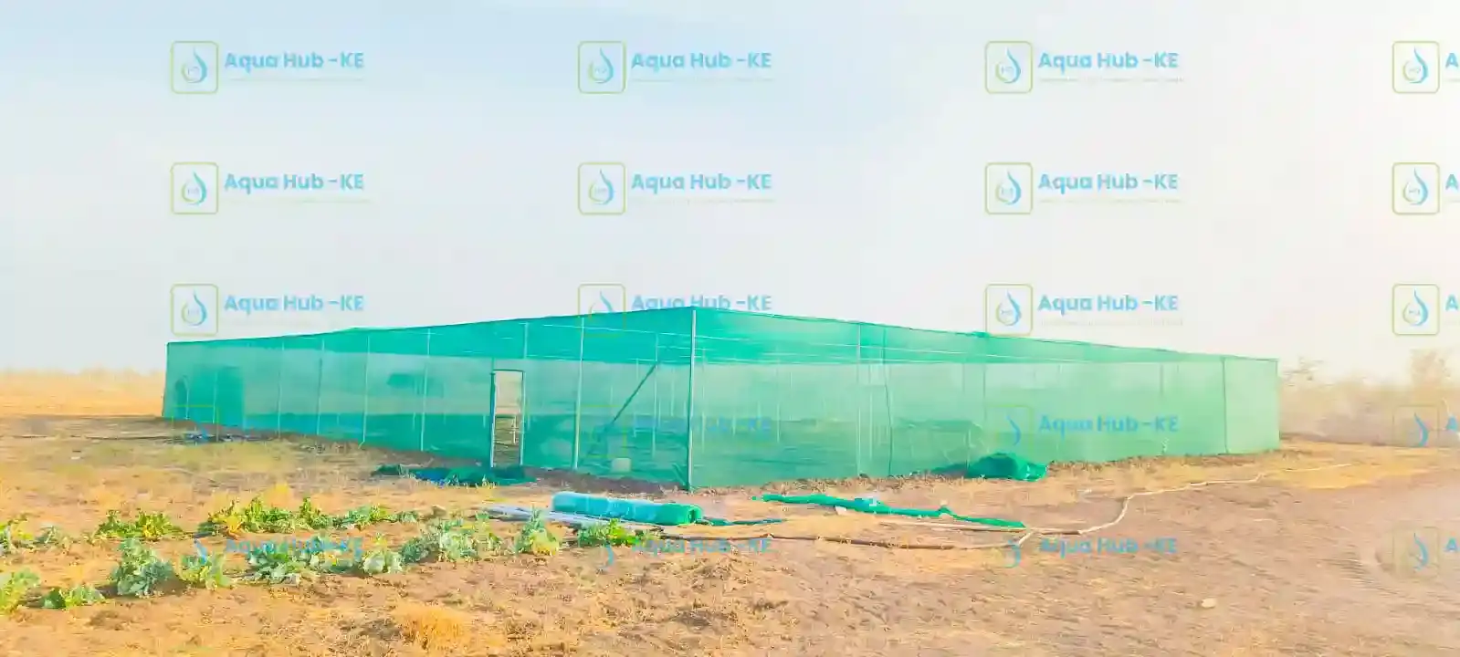 Shade net construction in Kenya by Aqua Hub Kenya