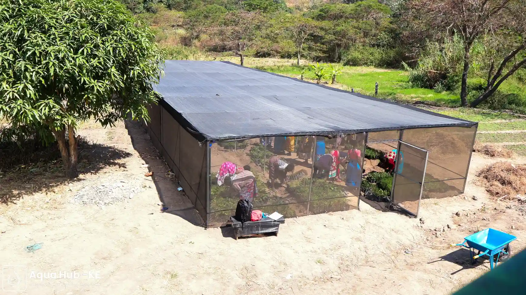 Agricultural nets in Kenya