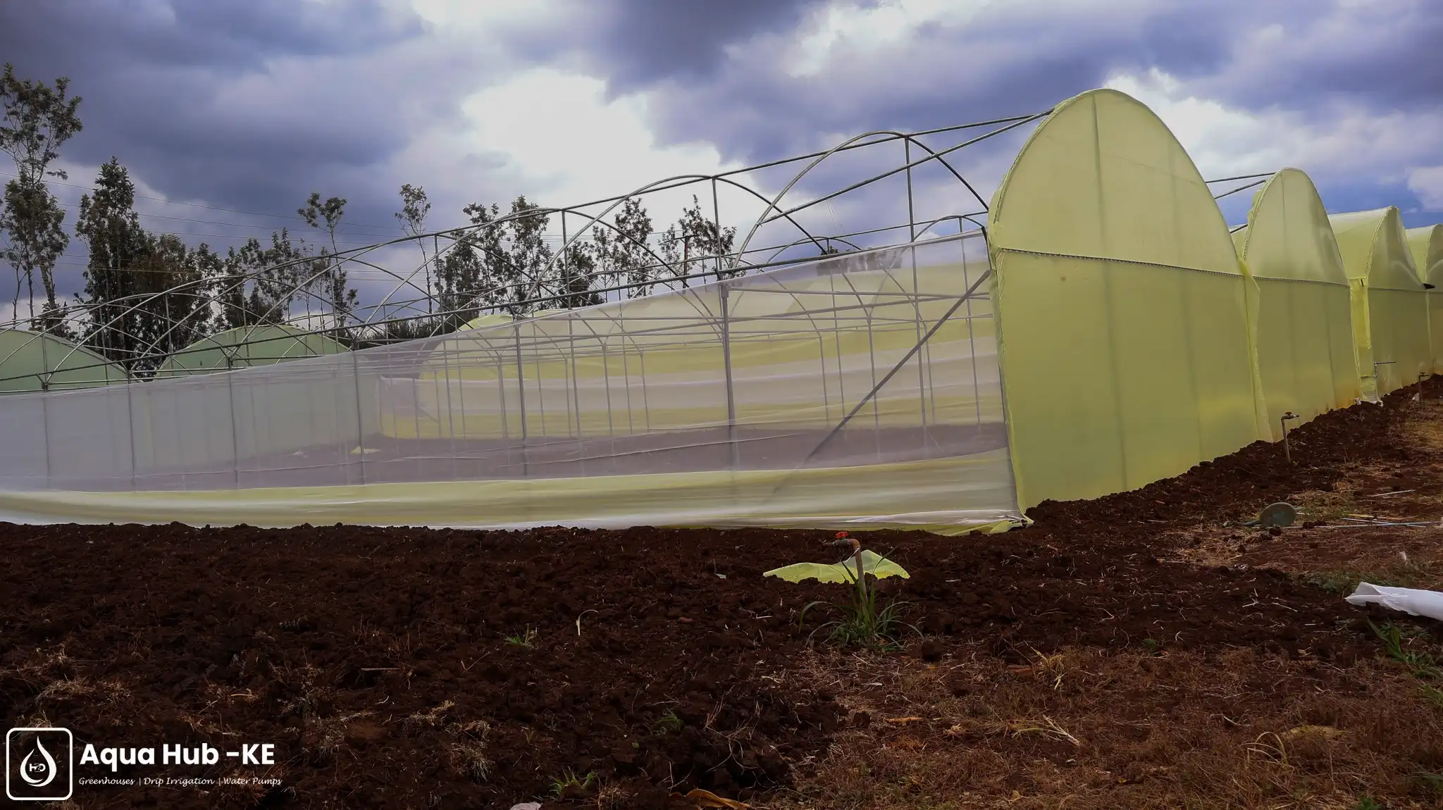 greenhouse with shade nets in Kenya