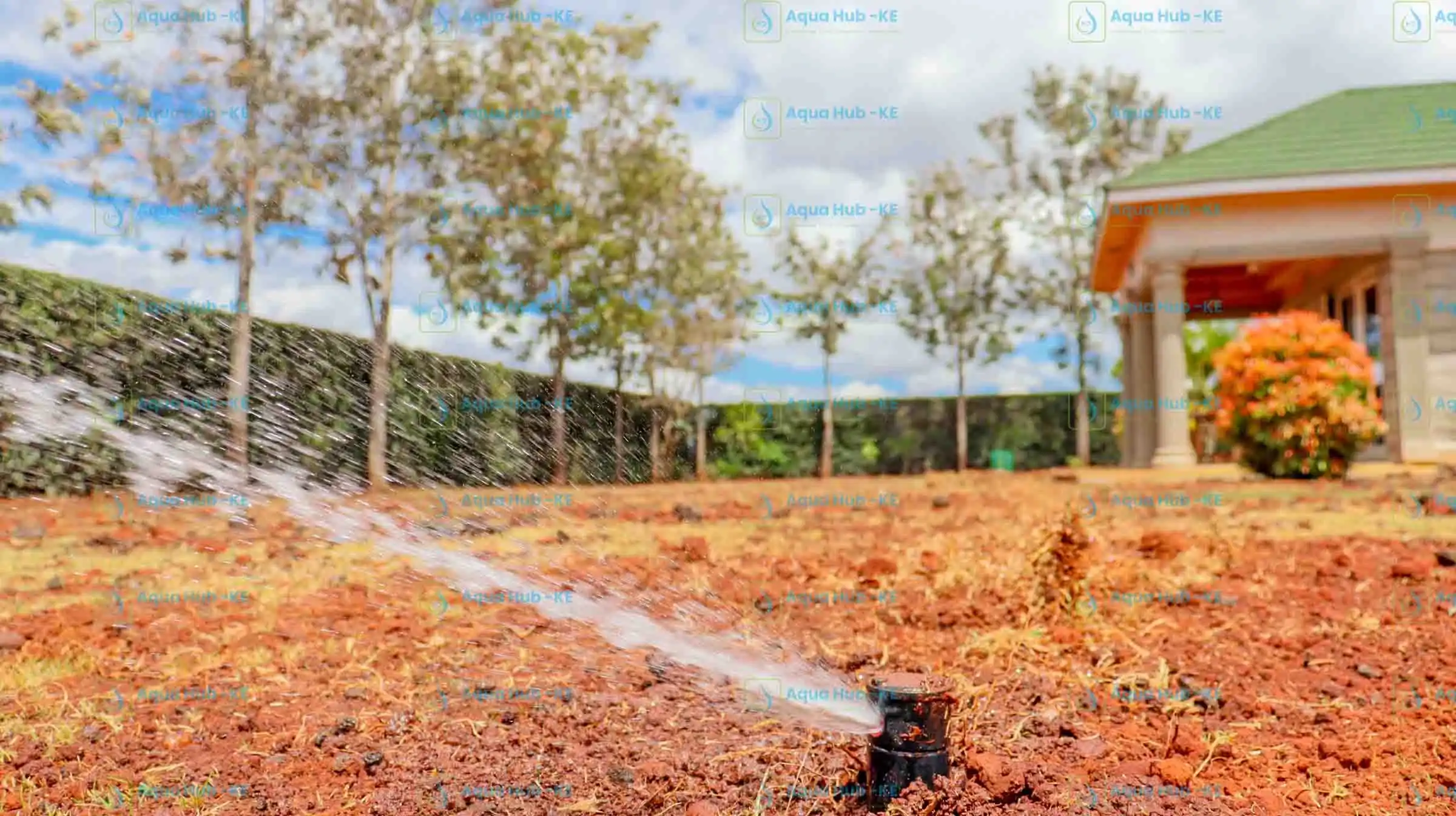 Best Lawn irrigation system in Kenya