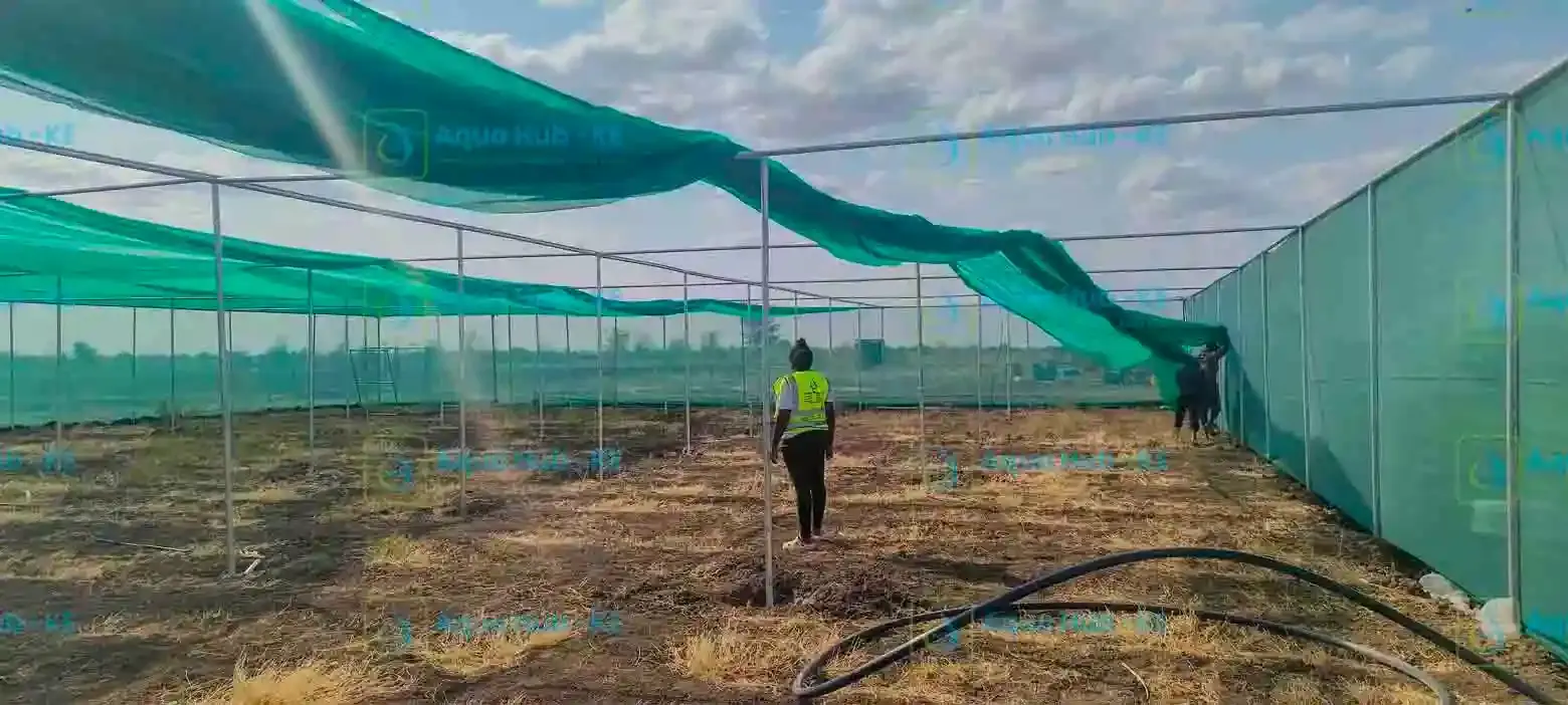Frames for shade house by Aqua Hub Kenya