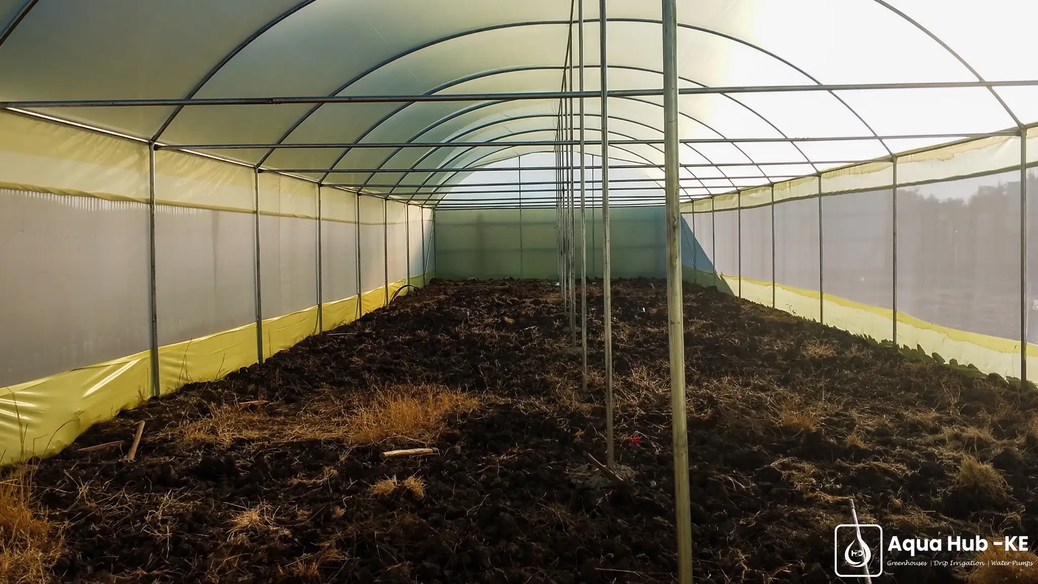 Interior of greenhouse for capsicum farming in Kenya