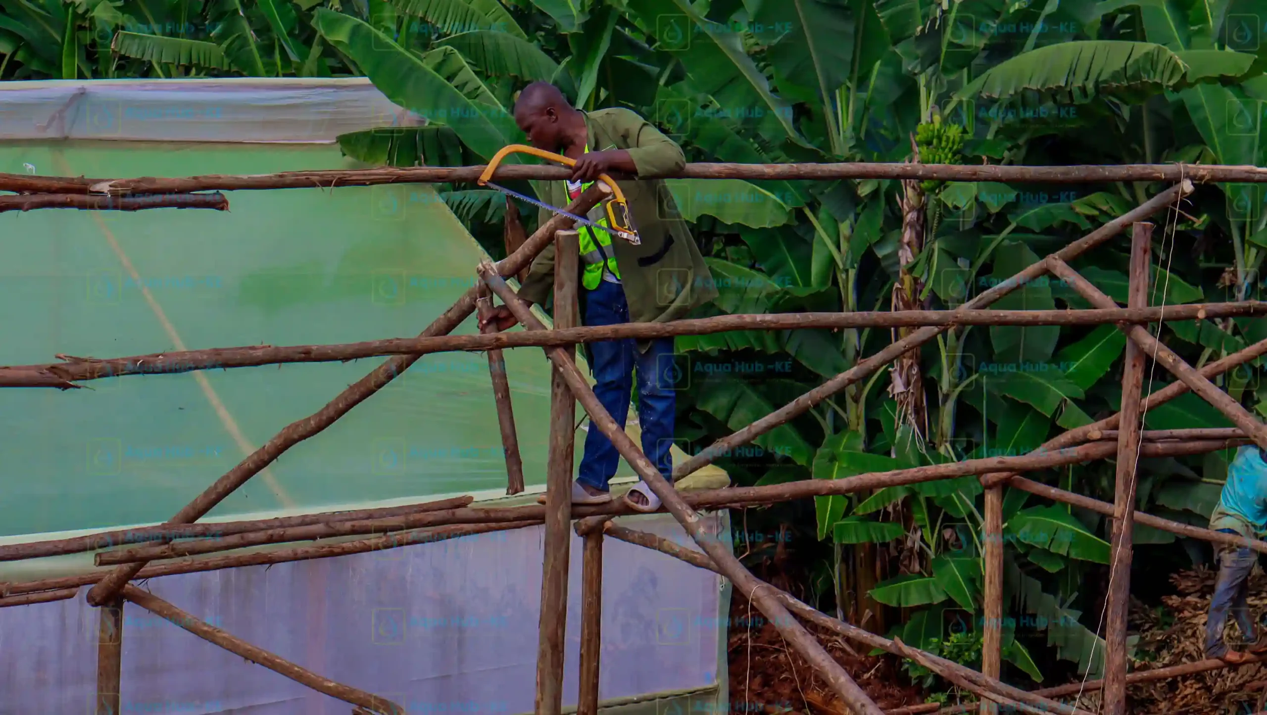 Shade house onstruction in Kenya with wooden frame
