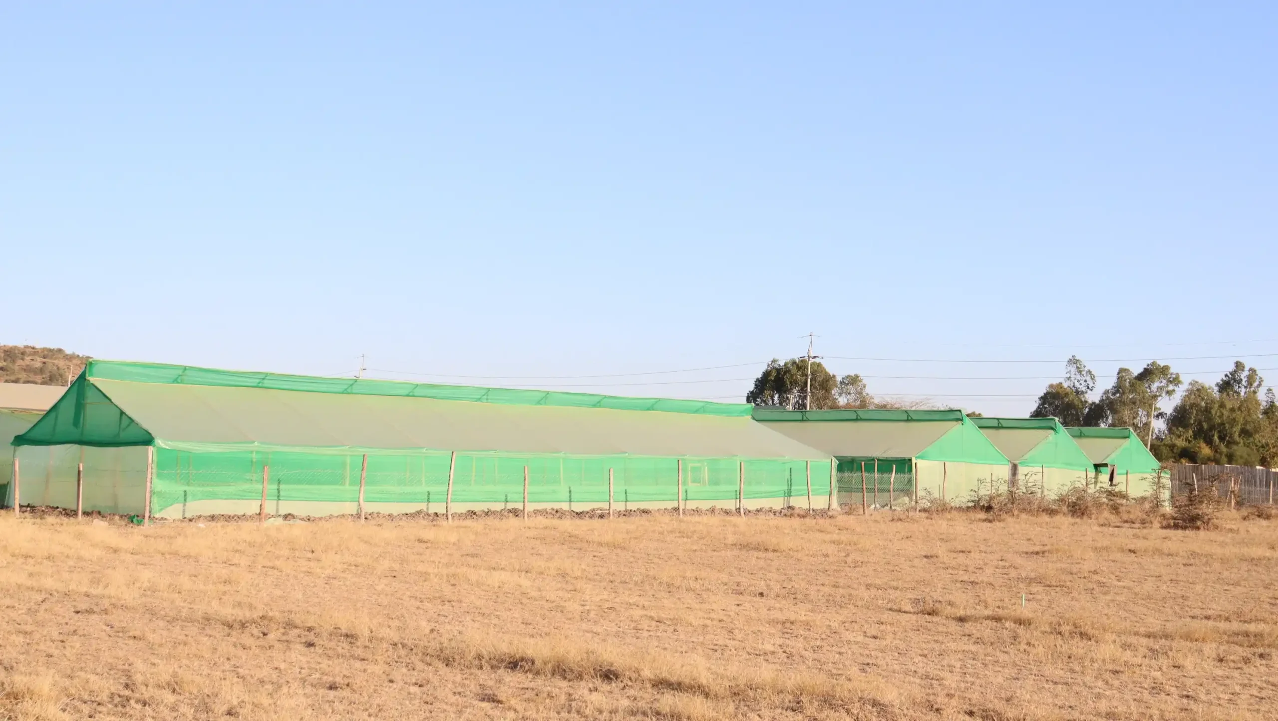 Metallic vs wooden greenhouses by Aqua Hub Kenya