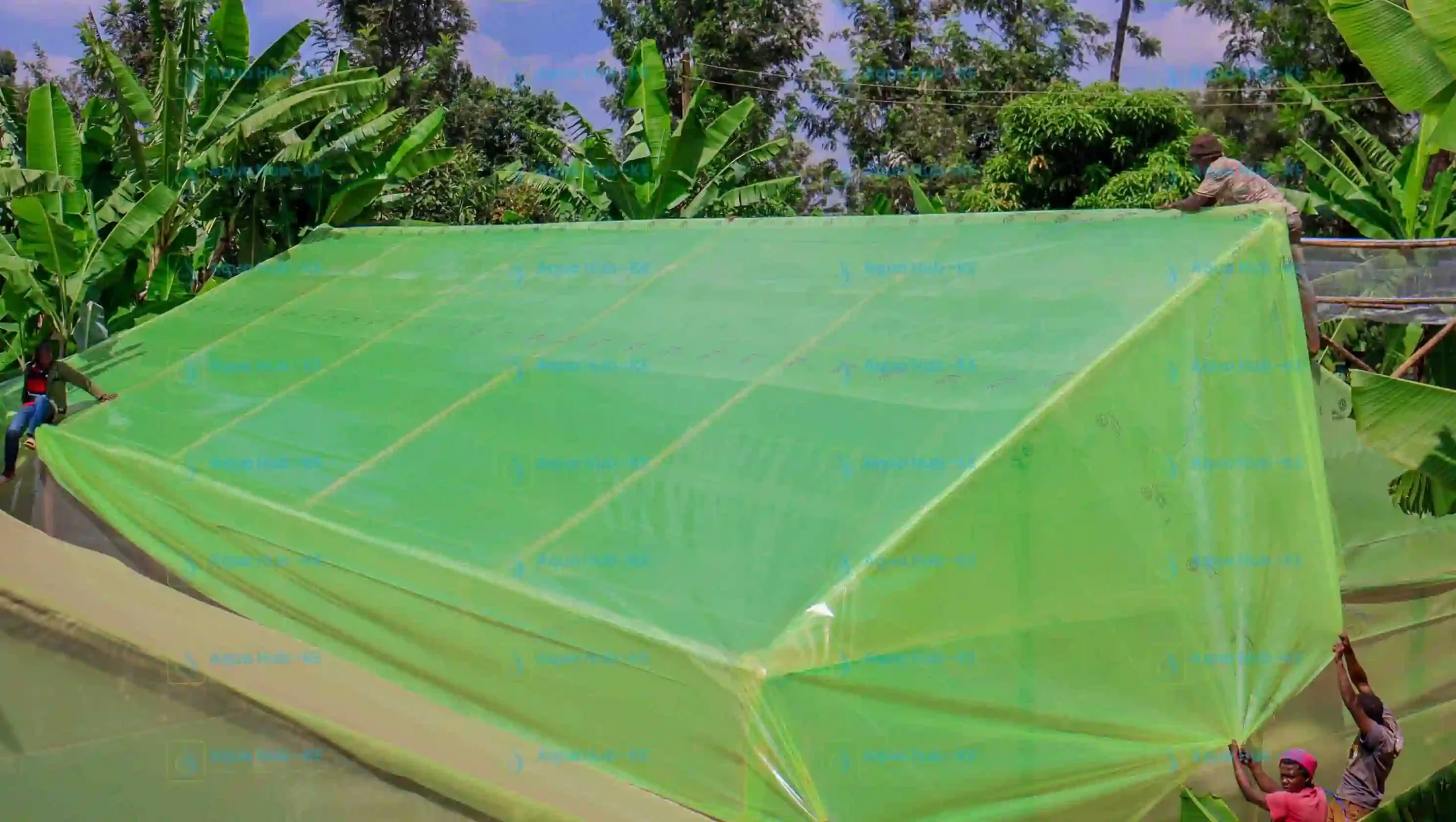 Low cost wooden greenhouse installation by Aqua Hub Kenya