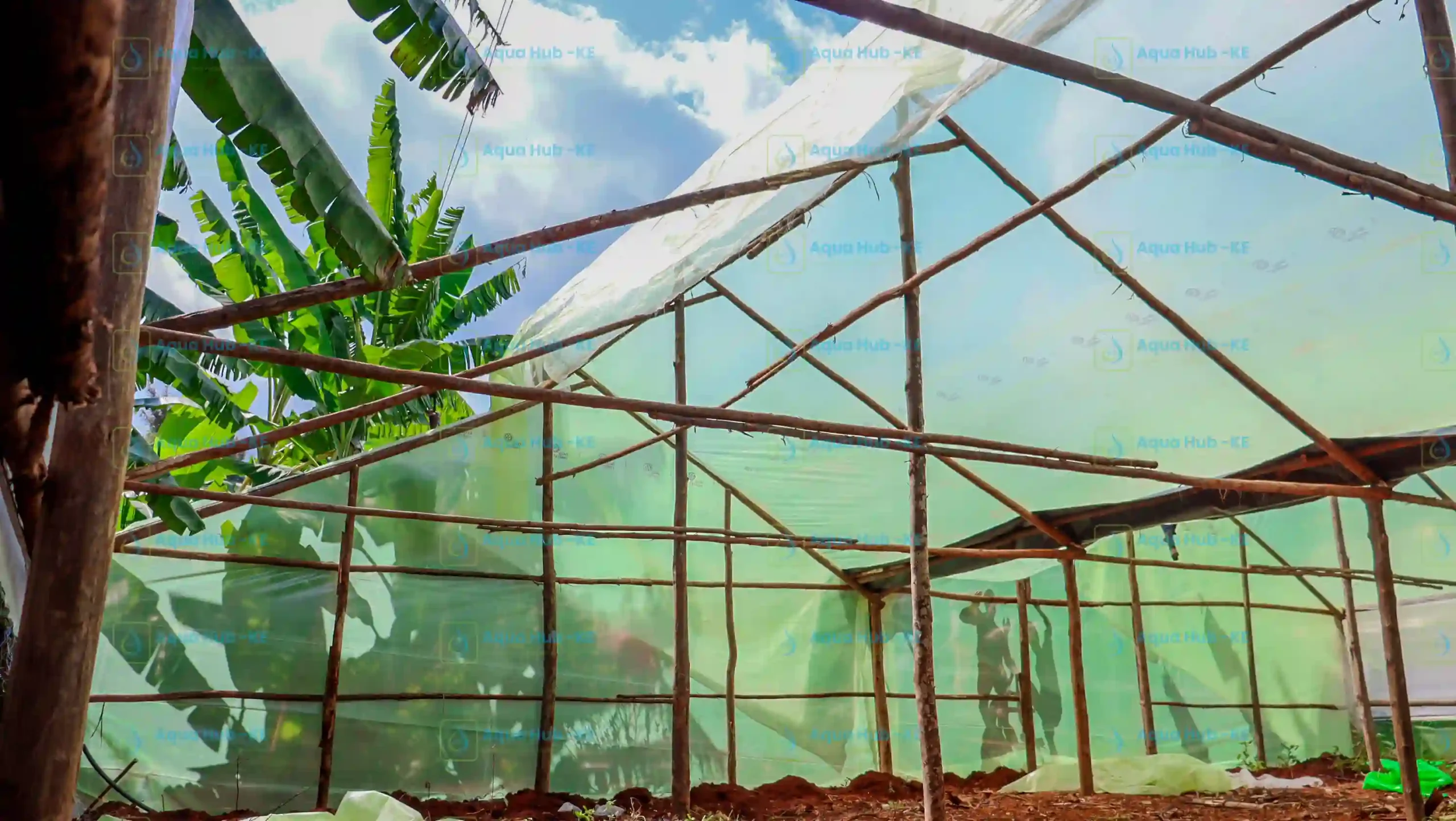 Wooden frame for greenhouses in Kenya