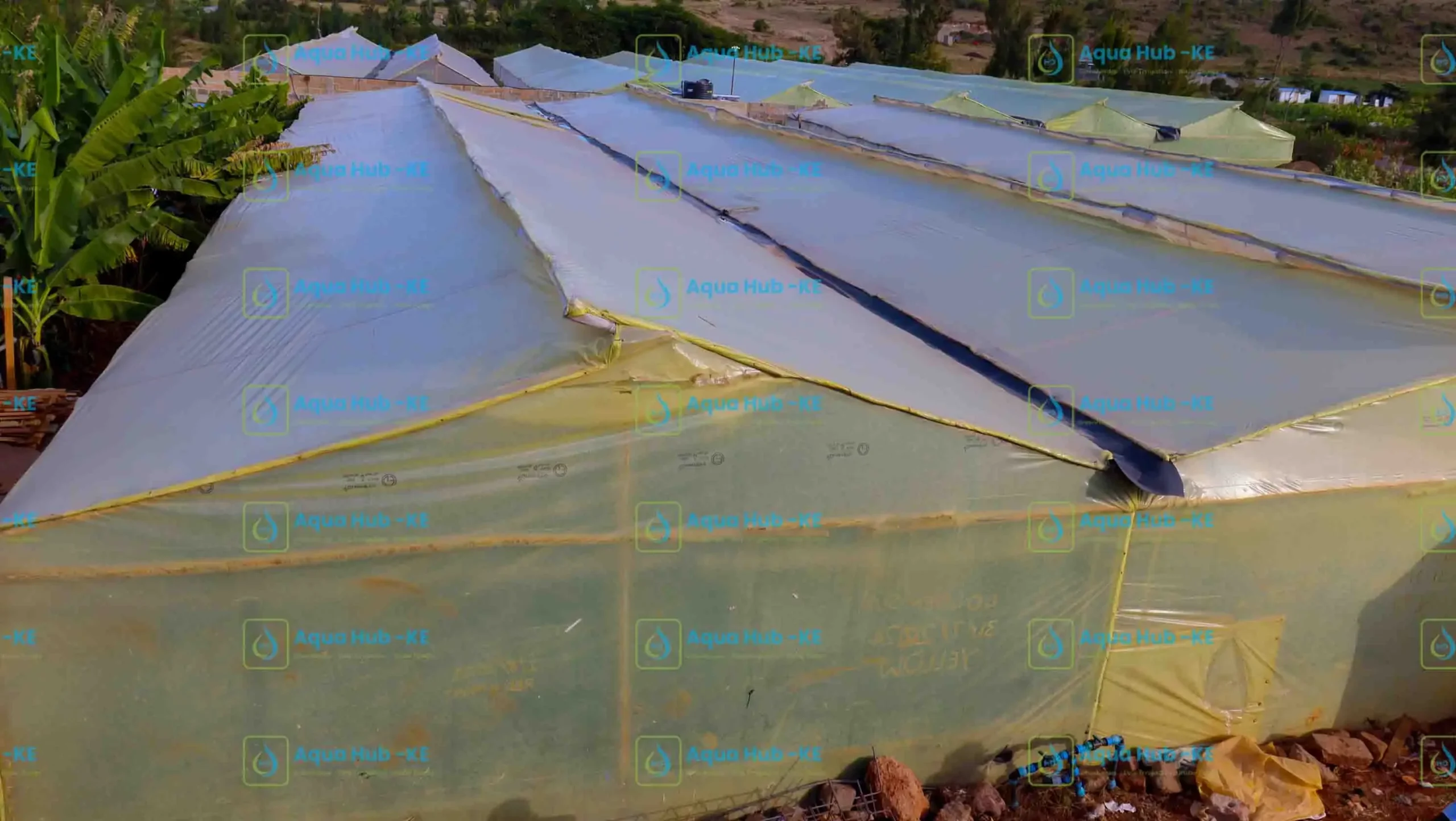 Low cost wooden greenhouse construction in Kenya