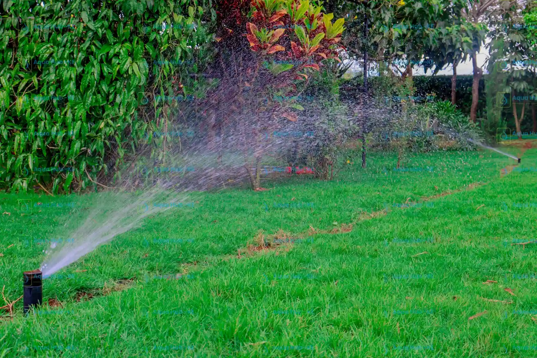 Lawn irrigation sprinklers by Aqua Hub Kenya
