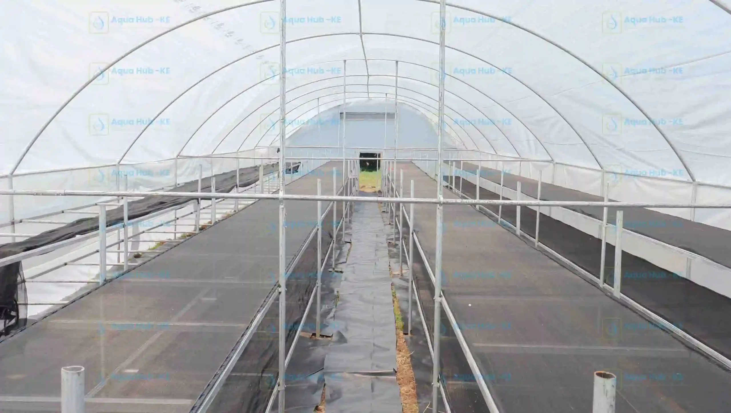 Banana Solar Dryers by Aqua Hub Kenya