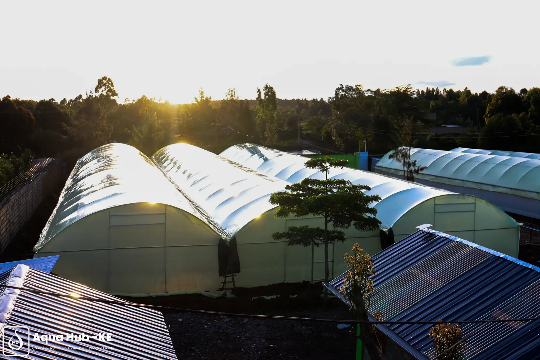 Affordable polythene greenhouses for sale by Aqua Hub Kenya