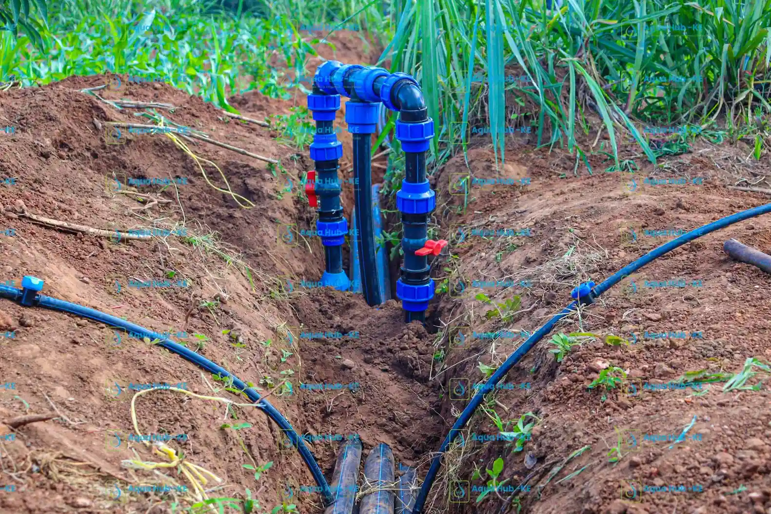 Hydrant installation for drip lines in Kenya