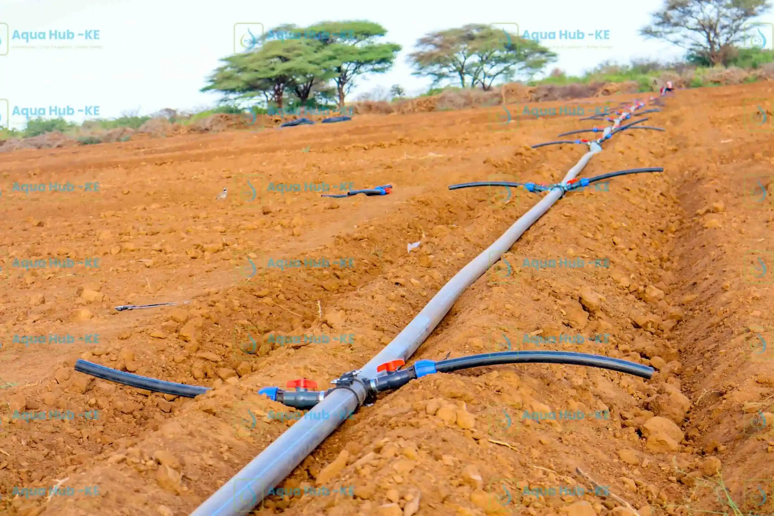 Best Spray irrigation installation by Aqua Hub Kenya