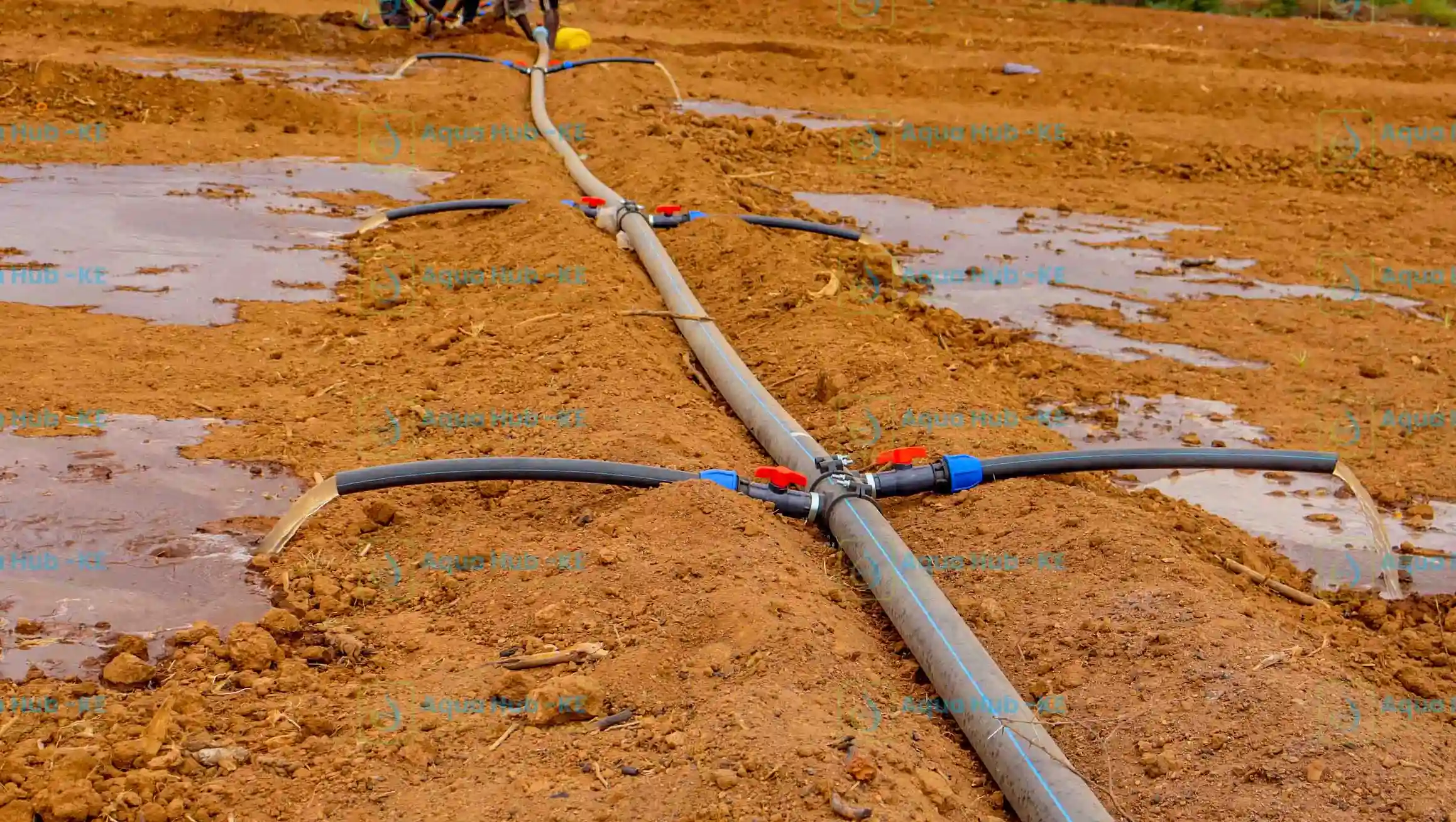 Best Spray irrigation installation in Kenya