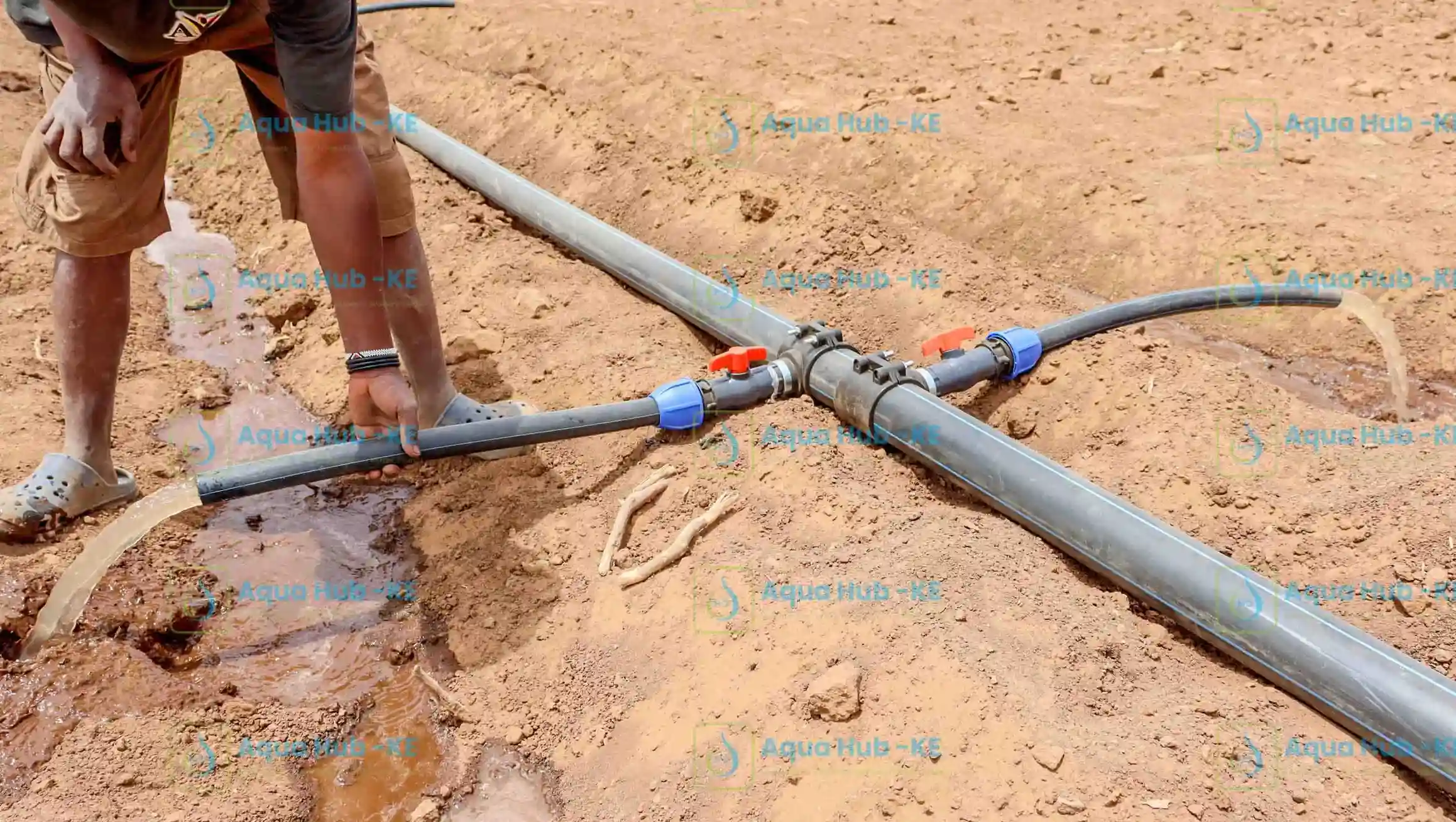 Spray irrigation installation in Kenya