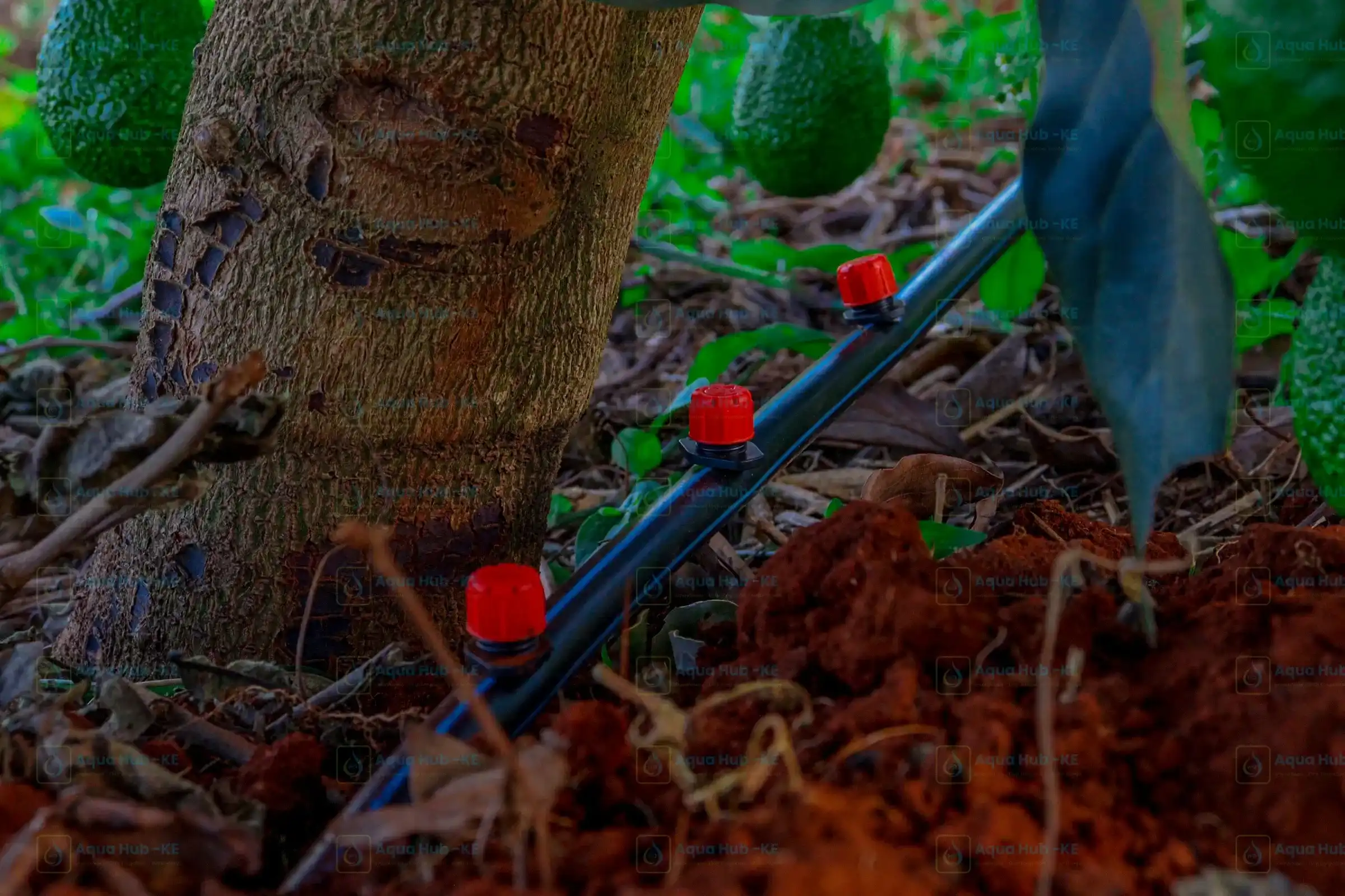 1 Acre Button Dripper Kits for Orchards by Aqua Hub Kenya
