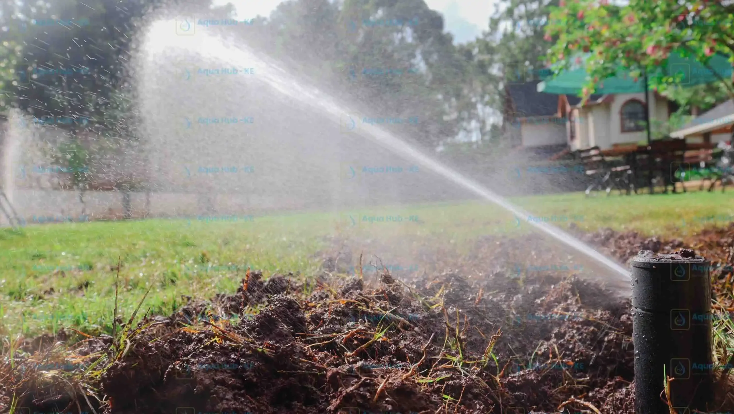 Lawn irrigation system in Kenya