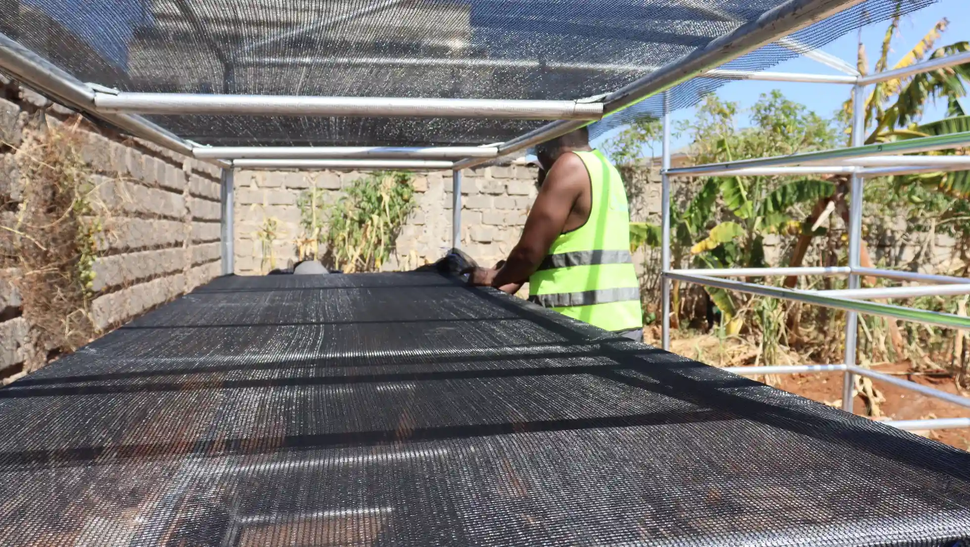 Tray setup for placing fish during drying