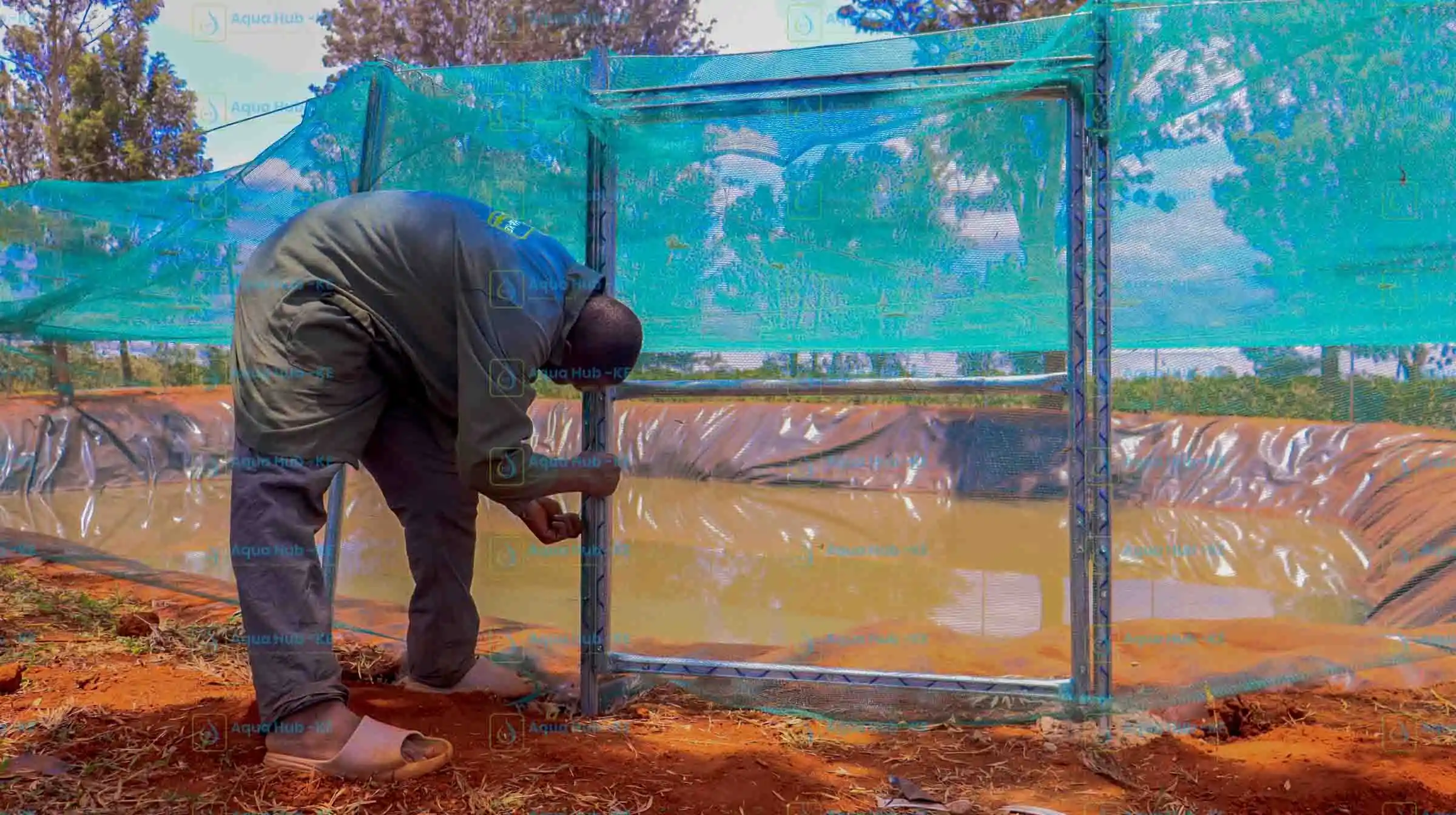 Shade net installation for fish ponds in Kenya