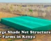 Large Shade Net Structures for Farms in Kenya