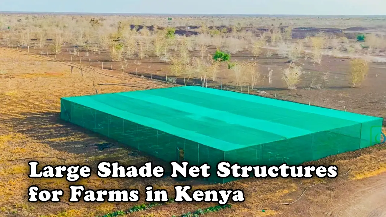 Large Shade Net Structures for Farms in Kenya