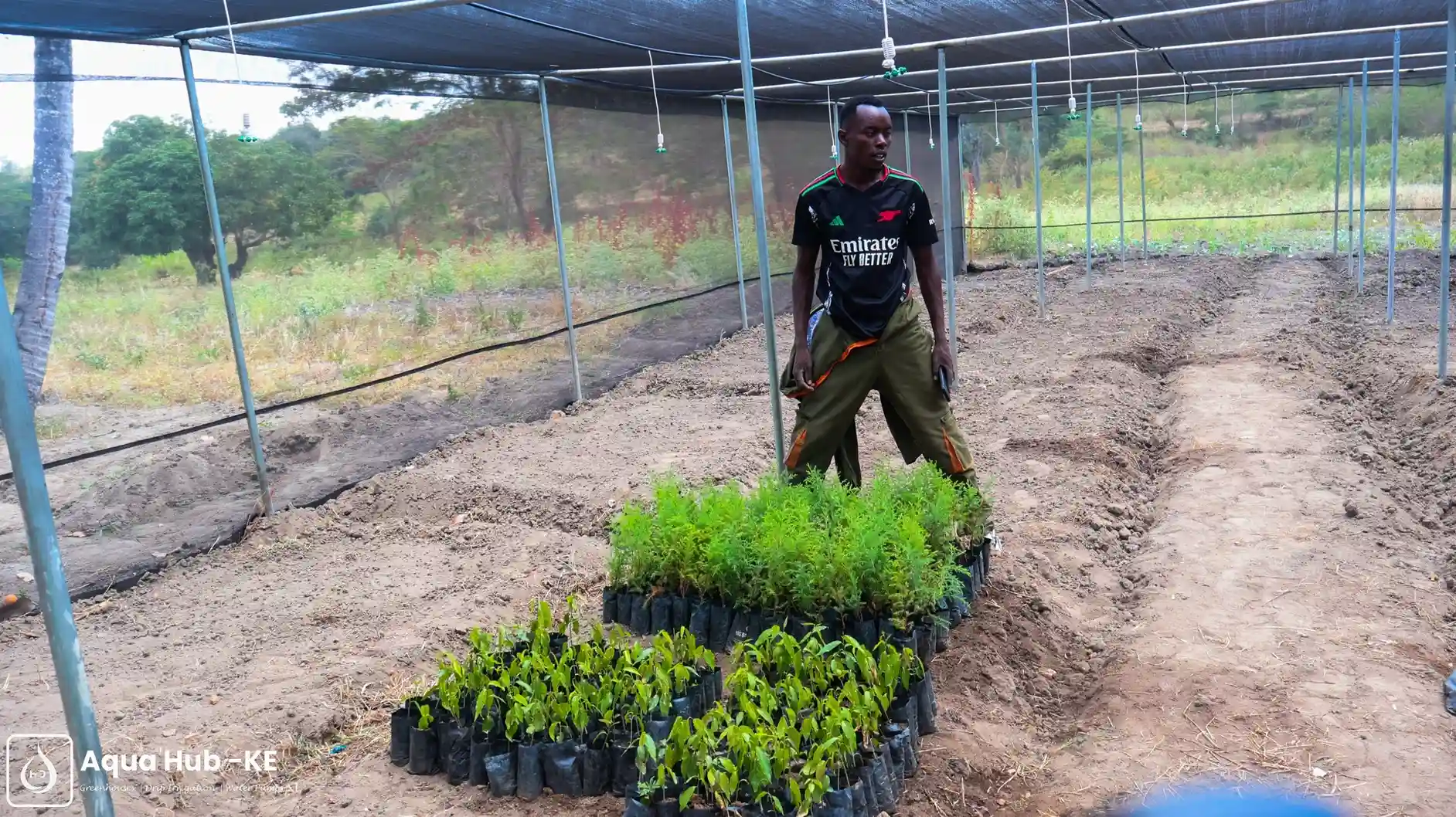 Shade nets for tree nurseries