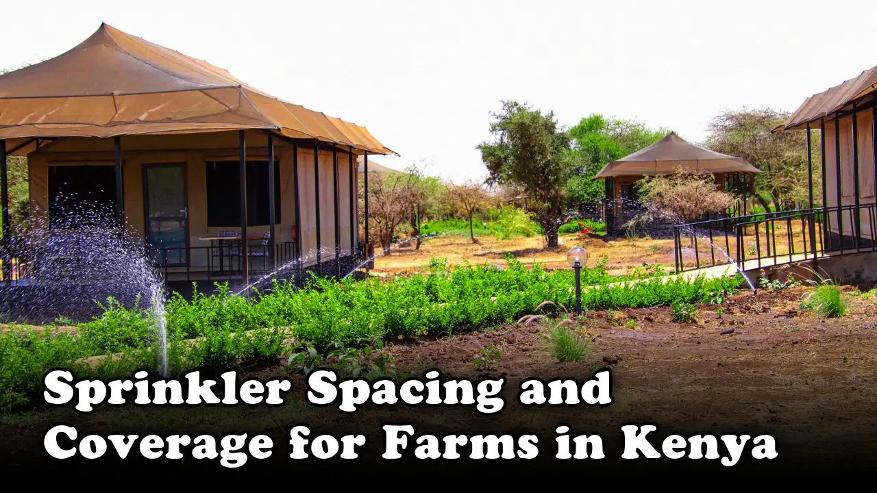 Sprinkler Spacing and Coverage for Farms in Kenya
