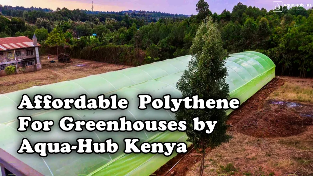 Affordable polythene for greenhouses by Aqua Hub Kenya