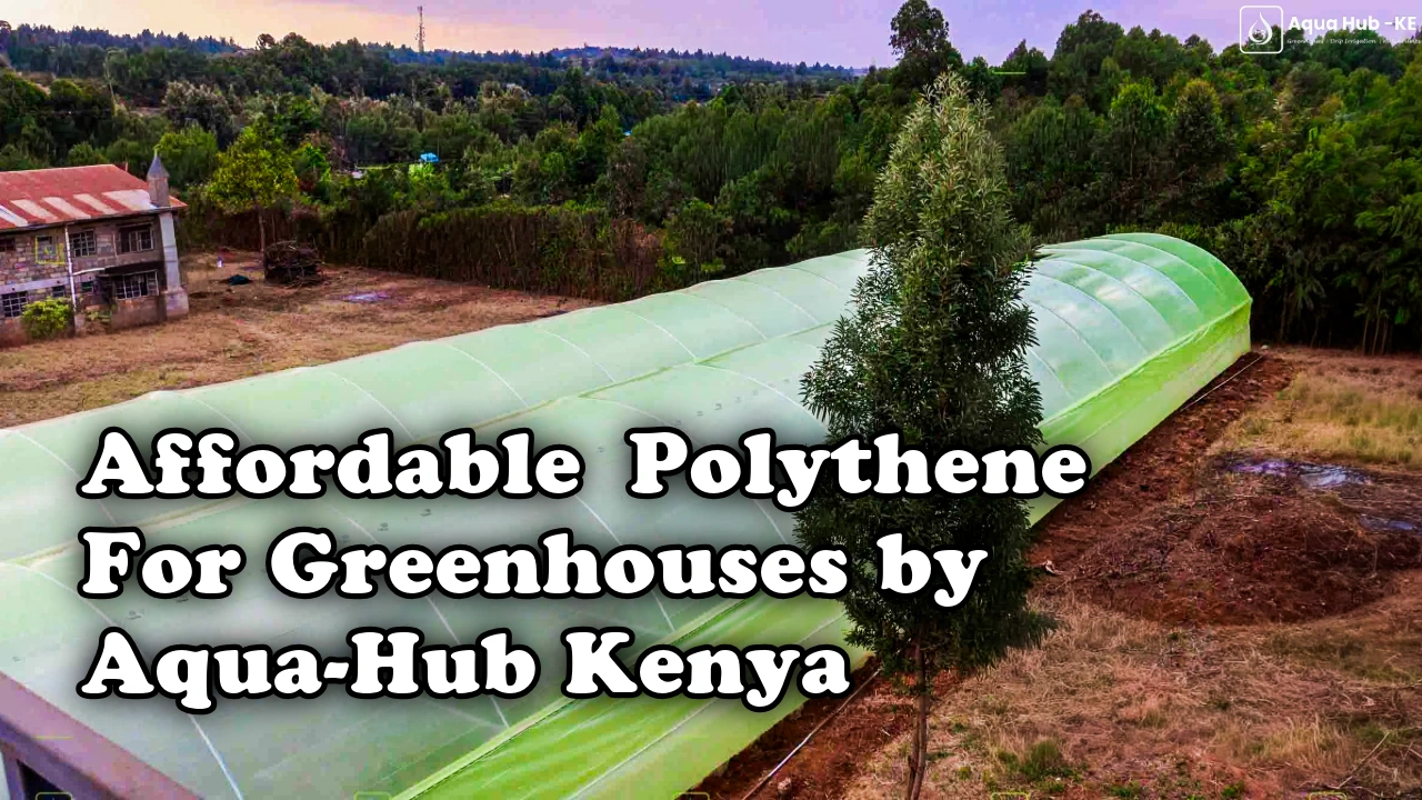 Affordable polythene for greenhouses by Aqua Hub Kenya