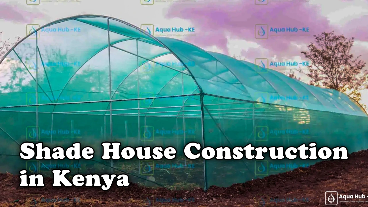 Shade House Construction in Kenya