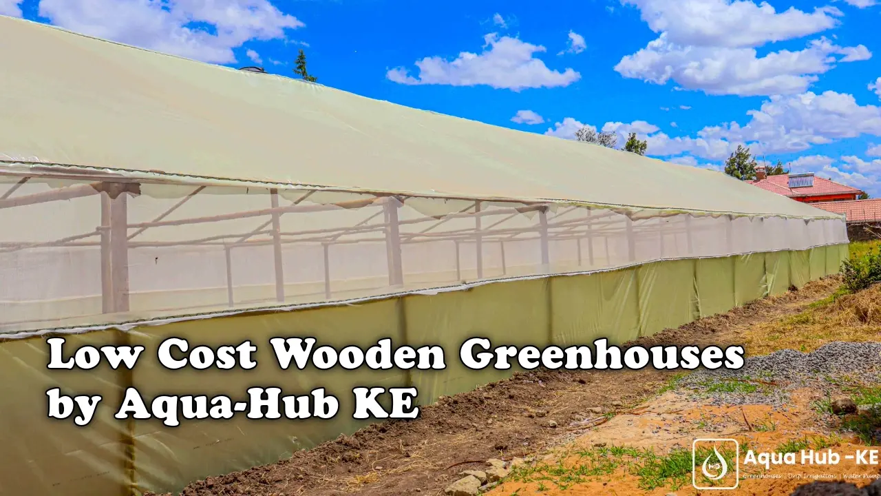 Low Cost Wooden Greenhouses by Aqua Hub Kenya