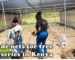 Shade nets for tree nurseries in Kenya