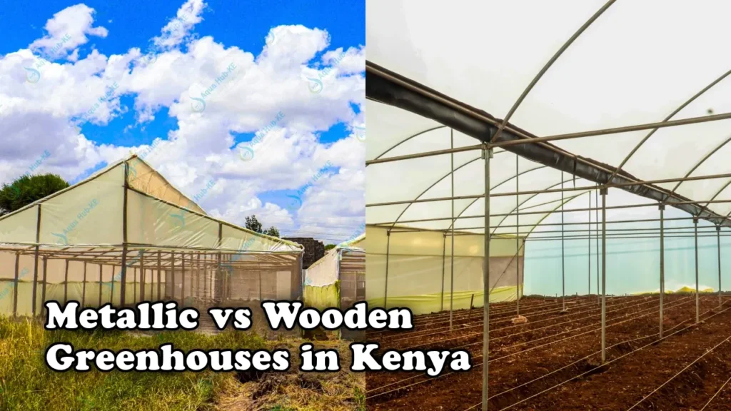 Metallic vs wooden greenhouses in Kenya