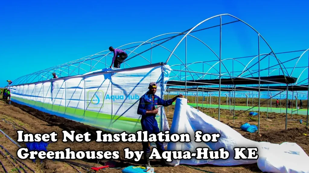 Insect installation for greenhouses by Aqua Hub Kenya