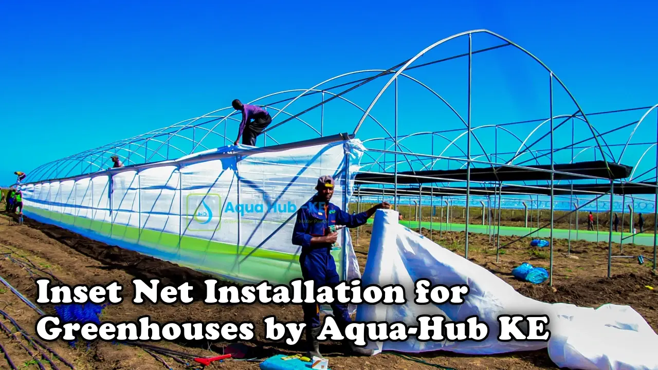 Insect installation for greenhouses by Aqua Hub Kenya